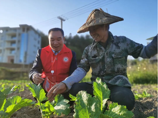 福建農(nóng)信新一期“鄉(xiāng)村振興貸”投放突破10億元，占全省七成以上