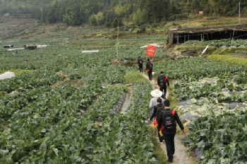 福建農(nóng)信：牢記囑托，為決戰(zhàn)決勝脫貧攻堅與成果拓展鞏固注入金融動能